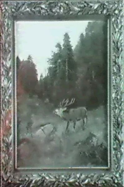 Krohrender Hirsch Auf Der Waldlichtung - view 1