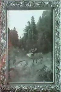 Krohrender Hirsch Auf Der Waldlichtung by Christopher Drahtmann