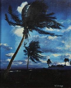 Evening Wind On The Island Evening Wind On The Island