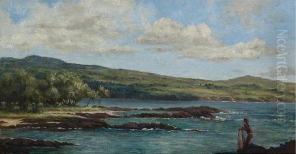 Casting A Net, Hawaii - view 1