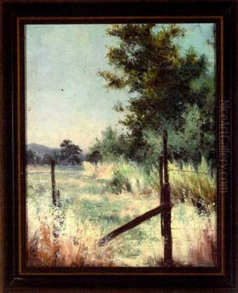 An Open Fence In A Hawaiian Landscape - view 1