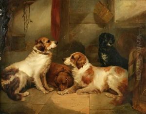 Four Dogs In A Kennel