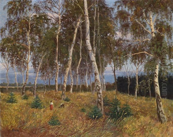 Birkenwald - view 1