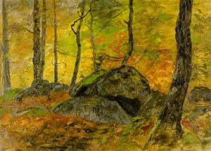 Waldlandschaft