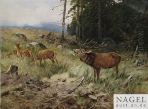 Rohrender Zwolfender Mit Drei Rehen Am Waldrand, Im Hintergrund Aufsteigender Fruhnebel by Christoffer Johann Drathmann