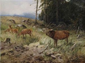 Rohrender Hirsch Und Rehe Am Waldrand