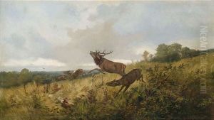 Rotwild In Herbstlicher Landschaft by Christoffer Johann Drathmann