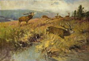 Landschaft Mit Revierkampf Zweier Hirsche