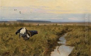 Blackcocks by Christoffer Johann Drathmann