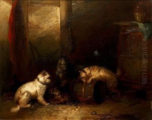 Terriers Ratting In A Barn