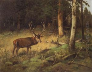 Hirsch Am Waldrand by Christoffer Johann Drathmann