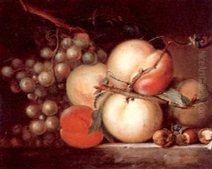 A Still Life With Grapes, Peaches And Nuts by Johann Baptist Drechsler