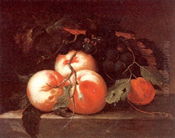 A Still Life With Apples, Grapes And An Abricot - view 1