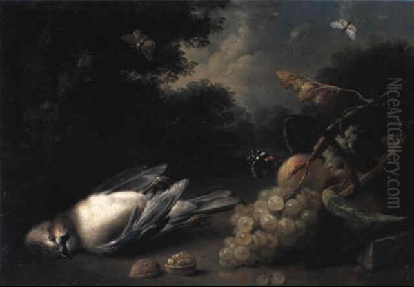 Still Life With Dead Jay And Fruit In Landscape - view 1
