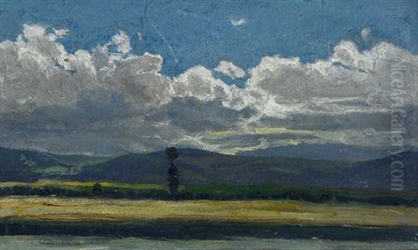 Sommerliche Mittelgebirgslandschaft - view 1