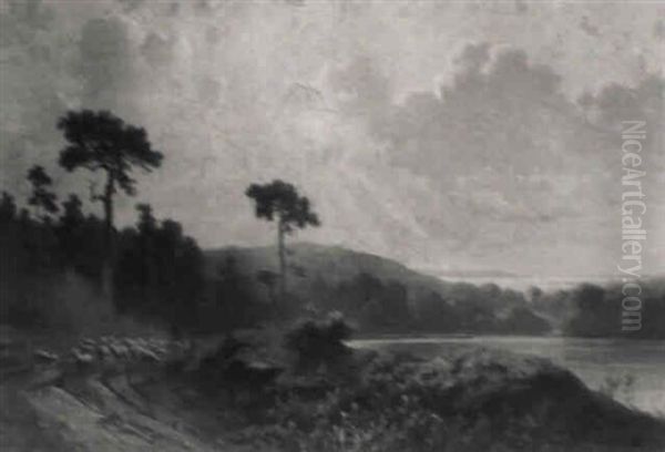 Markische Seenlandschaft - view 1