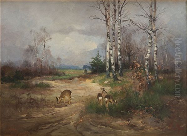 Forest Glade In The Morning - view 1