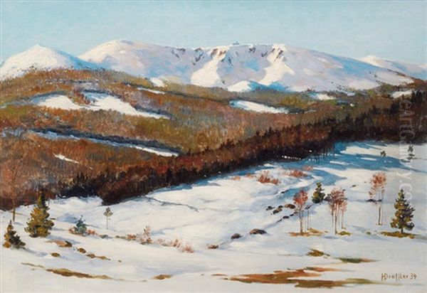 Winter In The Giant Mountains - view 1