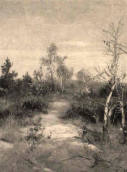 Vorfruhling - Heidelandschaft Mit Fasan - view 1