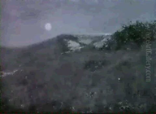 Rotwild Bei Der Asung - view 1