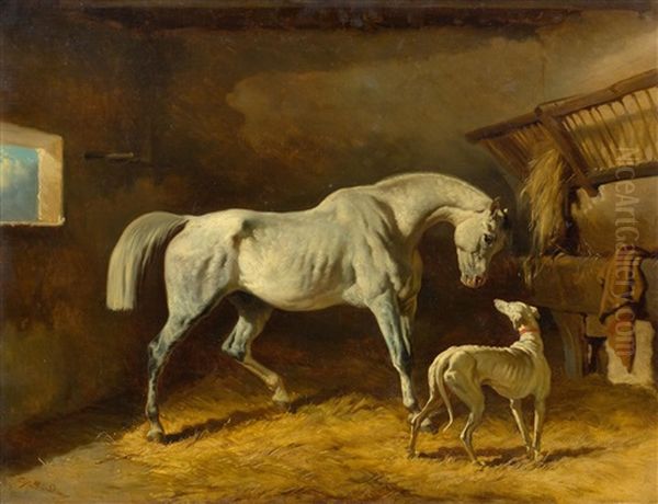 Les Compagnons D'ecurie, Cheval Gris Et Levrier Dans Une Ecurie - view 1
