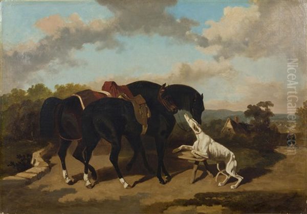 Chevaux Au Repos - view 1