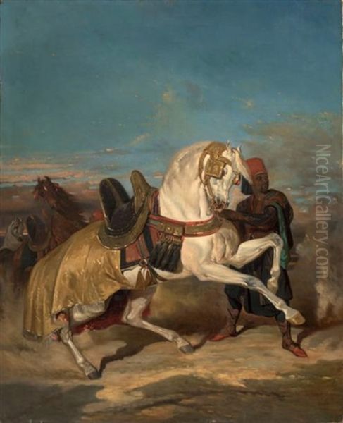 Cheval Arabe Maintenu Par Son Palefrenier - view 1