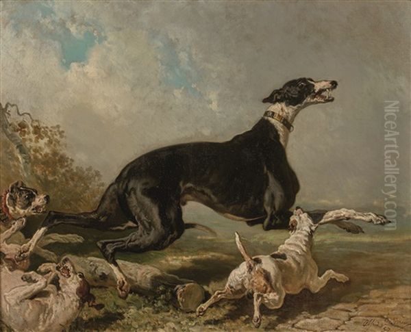 Les Freres Ennemis, Chiens Attaquant Un Levrier - view 1