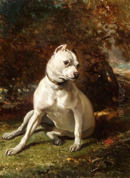 Kleine Bulldogge - view 1