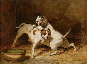 Zwei Spielende Hunde by Alfred De Dreux