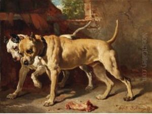 Deux Chiens Au Morceau De Viande