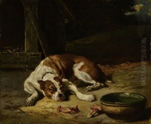 Schlafender Hund Vor Seinem Fressnapf