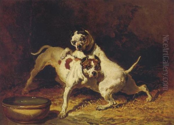Spielende Hunde - view 1