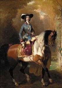 An Elegant Lady On Her Horse