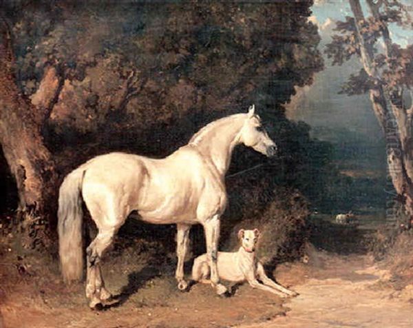 Cheval Gris Et Levrier Au Repos Dans Un Paysage - view 1