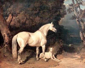 Cheval Gris Et Levrier Au Repos Dans Un Paysage