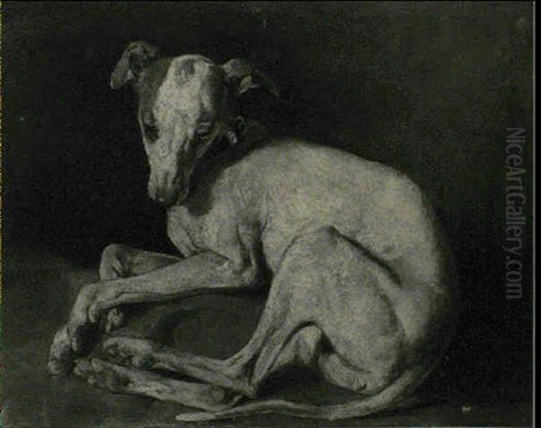 Levrette Couchee Sur Un Oreiller - view 1