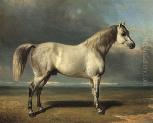 Cheval Dans Une Prairie - view 1