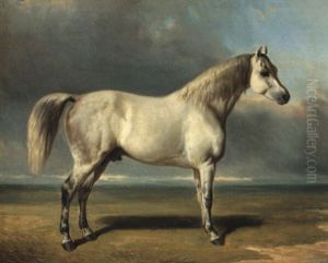 Cheval Dans Une Prairie