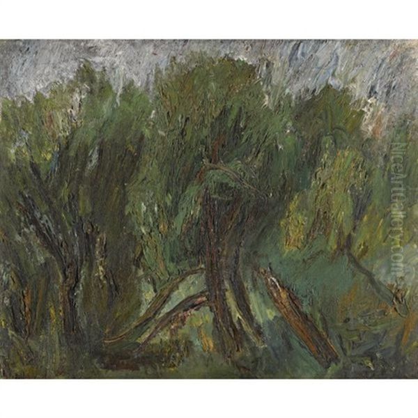 Willows, Altai - view 1