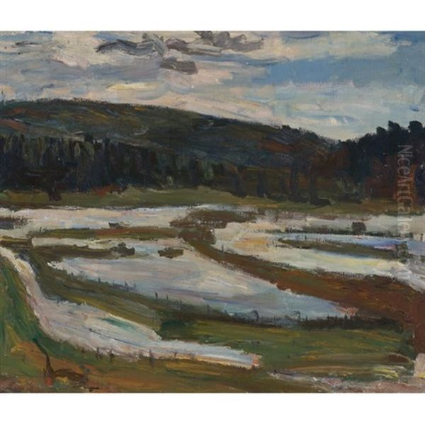 The Flood - view 1