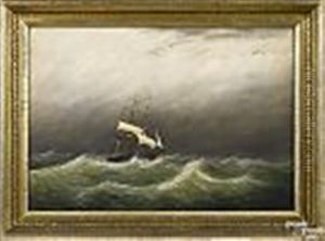 Ship Portrait
