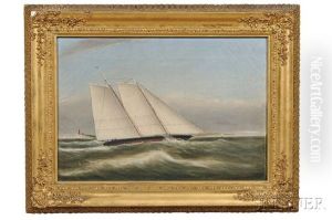 Yachting Scene Off The Coast
