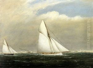 The "puritan" And "genesta" by Clement Drew