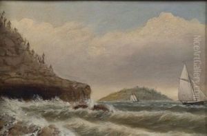 Schooner Head, Mount Desert by Clement Drew