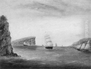 Port Jackson, Sydney, Australia by Clement Drew