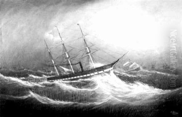 Seeking Safe Harbors - view 1