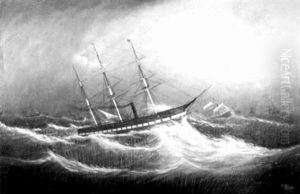 Seeking Safe Harbors by Clement Drew
