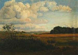 Danish Summer Landscape Danish Summer Landscape