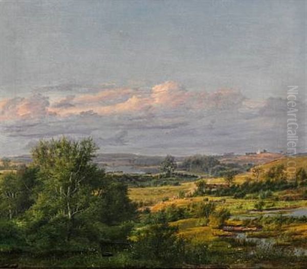 Fynsk Landskab, I Baggrunden Kjaerum Og Ebberup Banker - view 1